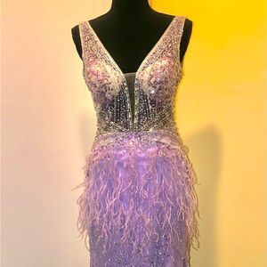 Jovanni Gown with feathers and crystals